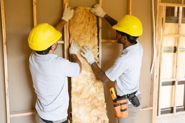 Eco-Friendly or Green Insulation Solutions in Kirby, TX